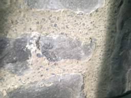 millstreet 13250.jpg